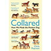 Collared: How We Made the Modern Dog