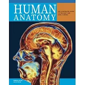 Human Anatomy