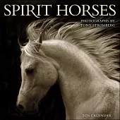 Spirit Horses 2026 Wall Calendar by Tony Stromberg