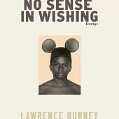 No Sense in Wishing: Essays