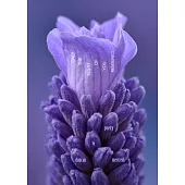 Only the Scent of You Remained