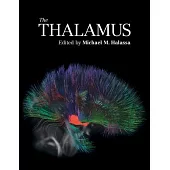 The Thalamus