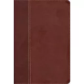 Niv, Cultural Backgrounds Study Bible (Context Changes Everything), Leathersoft, Brown, Red Letter, Thumb Indexed: Bringing to Life the Ancient World