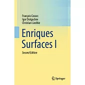 Enriques Surfaces I