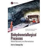 Biohydrometallurgical Processes: Metal Recovery and Remediation