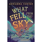 What Fell from the Sky