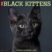 Black Kittens 2026 Wall Calendar