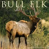 Bull Elk 2026 Wall Calendar