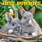 Bunnies 2026 Wall Calendar
