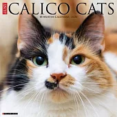 Calico Cats 2026 Wall Calendar