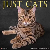 Cats 2026 Wall Calendar