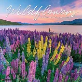 Wildflowers 2026 Wall Calendar