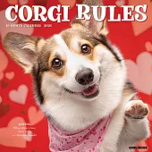 Corgi Rules 2026 Wall Calendar