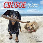 Crusoe the Celebrity Dachshund 2026 Wall Calendar