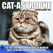 Cat-Astrophe 2026 Mini Wall Calendar
