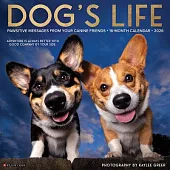 Dog’s Life 2026 Wall Calendar