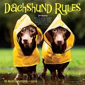 Dachshund Rules 2026 Mini Wall Calendar