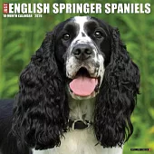 English Springer Spaniels 2026 Wall Calendar