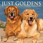 Just Goldens 2026 Mini Wall Calendar
