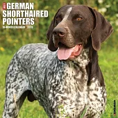 German Shorthair Pointers 2026 Wall Calendar