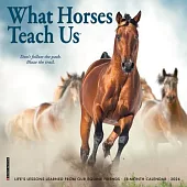 What Horses Teach Us 2026 Mini Wall Calendar