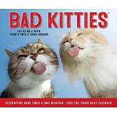 Bad Kitties 2026 Box Calendar