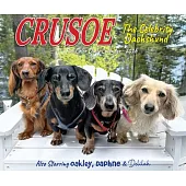 Crusoe the Celebrity Dachshund 2026 Box Calendar