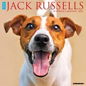 Jack Russells 2026 Wall Calendar