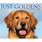 Goldens 2026 Box Calendar