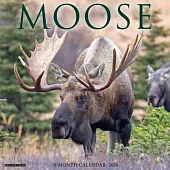 Moose 2026 Wall Calendar