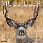 Mule Deer 2026 Wall Calendar