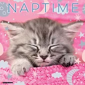 Naptime: A Cat’s Favorite Pastime 2026 Wall Calendar