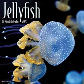 Jellyfish 2026 Wall Calendar