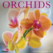 Orchids