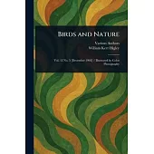 Birds and Nature