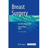 Breast Surgery: Aesthetic Approaches