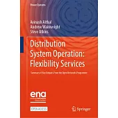 Distribution System Operation: Flexibility Services: Summary of Key Outputs from the Open Networks Programme