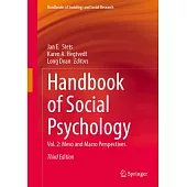Handbook of Social Psychology: Vol. 2: Meso and Macro Perspectives