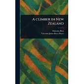 A Climber in New Zealand