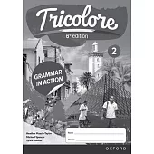 Tricolore 2 Grammar in Action Sixth Edition Workbook Pack