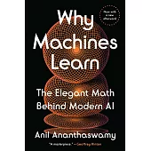 Why Machines Learn: The Elegant Maths Behind Modern AI