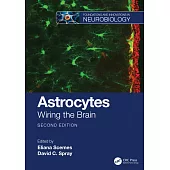 Astrocytes: Wiring the Brain