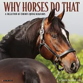 Why Horses Do That 2026 12 X 12 Wall Calendar