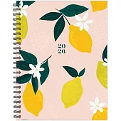Citrus 2026 6.5 X 8.5 Weekly Monthly Softcover Planner
