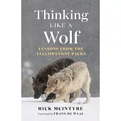 Thinking Like a Wolf: Lessons from the Yellowstone Packs
