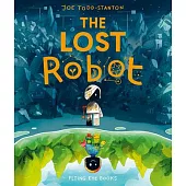 The Lost Robot