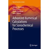 Advanced Numerical Calculations for Sonochemical Processes