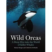 Wild Orcas: A Deep Dive Into the World of Killer Whales