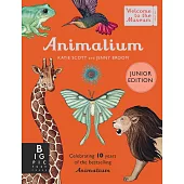 Animalium: Welcome to the Museum (Junior Edition) (Welcome To The Museum)