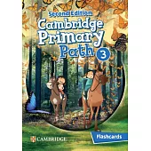 Cambridge Primary Path Level 3 Flashcards